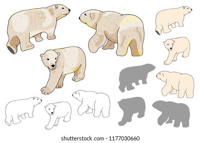 Vector white polar bears set. Bear Silhouettes and outlines isolate on white background.