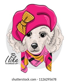 Vector White Poodle With Bow, Pink Beret And  Scarf. Hand Drawn Illustration Of Dressed Dog.