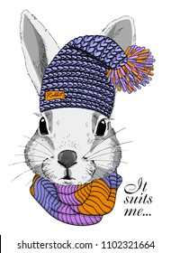 Vector white rabbit with blue knitted hat and scarf. Hand drawn illustration of dressed rabbit.