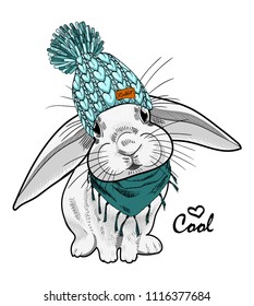 Vector white rabbit with blue knitted hat and scarf. Hand drawn illustration of dressed bunny.