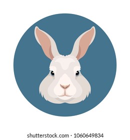 Vector white rabbit or bunny farm animal icon