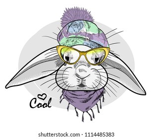 Vector white rabbit with glasses, hat and scarf. Hand drawn illustration of dressed rabbit.