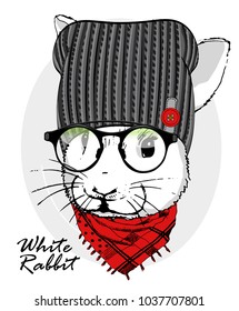 Vector white rabbit with glasses, knitted hat and red scarf. Hand drawn illustration of dressed rabbit.