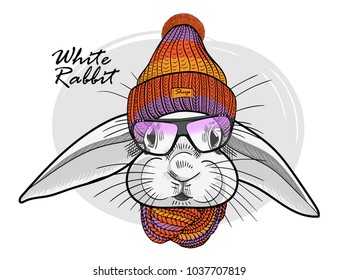 Vector white rabbit with glasses, knitted hat and knitted scarf. Hand drawn illustration of dressed rabbit.
