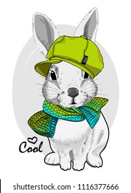 Vector white rabbit with green cap and knitted  green scarf. Hand drawn illustration of dressed bunny.