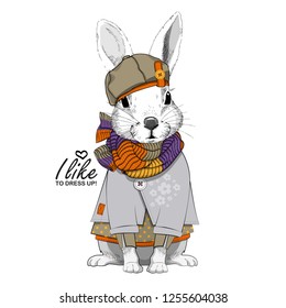 Vector white rabbit with green hat and knitted scarf. Hand drawn illustration of dressed rabbit.