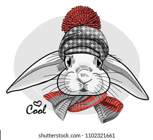 Vector white rabbit with hat and knitted scarf. Hand drawn illustration of dressed rabbit.