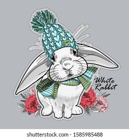 Vector white rabbit with hat and knitted scarf. Hand drawn illustration of dressed rabbit.