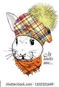 Vector white rabbit with hat and scarf. Hand drawn illustration of dressed rabbit.