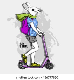 Vector white rabbit on a pink kick scooter. Hand drawn illustration of dressed bunny. 