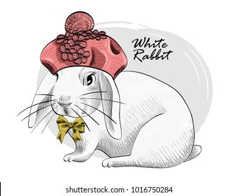 Vector white rabbit with pink beret and bow. Hand drawn illustration of dressed rabbit.