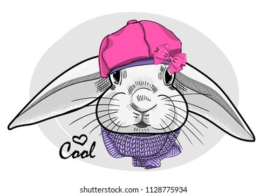 Vector white rabbit with pink hat and violet knitted scarf. Hand drawn illustration of dressed rabbit.