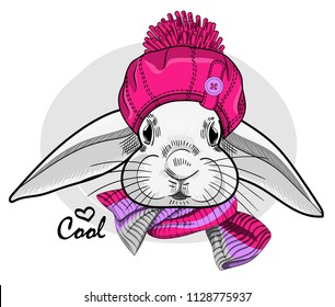 Vector white rabbit with pink hat and knitted scarf. Hand drawn illustration of dressed rabbit.