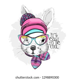 Vector white rabbit with pink hat, glasses and scarf. Hand drawn illustration of dressed rabbit.