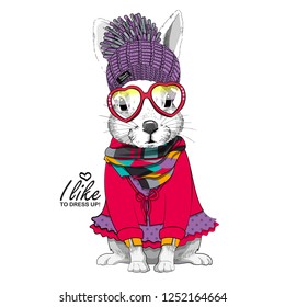 Vector white rabbit with violet knitted hat, glasses, red dress and scarf. Hand drawn illustration of dressed rabbit.