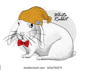 Vector white rabbit with yellow knitted hat and red bow. Hand drawn illustration of dressed rabbit.