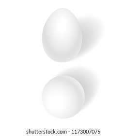 Vector white realistic eggs. Top view and side view chicken eggs isolated with soft shadows on white background.