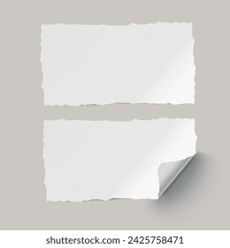 Vector white realistic paper adhesive stickers with curved corner and torn edges on transparent background.