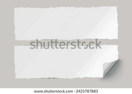 Vector white realistic paper adhesive horizontal stickers with curved corner and grain texture on transparent background.