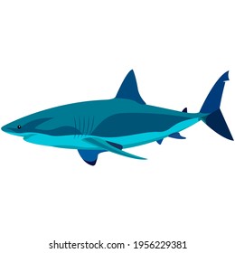 Vector white shark aquatic creature illustration isolated