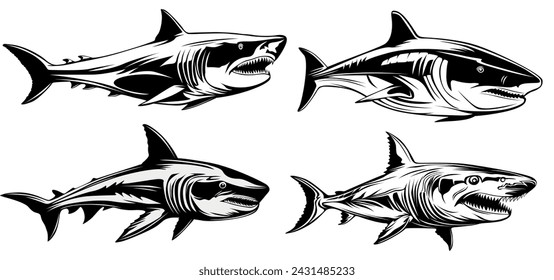 vector white shark icon. Wild ocean predators design illustration