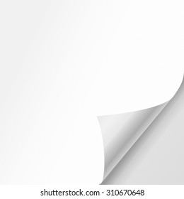 Vector white sheet of paper with realistic curled corner.