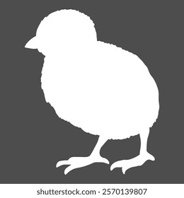 Vector White Silhouette of Chick on Dark Background