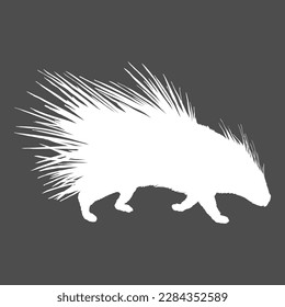 Vector White Silhouette of Porcupine