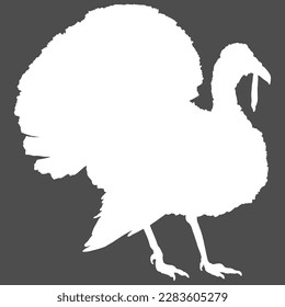 Vector White Silhouette of Turkey.