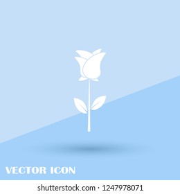 vector white silhouettes of rose flowers isolated on a blue background.