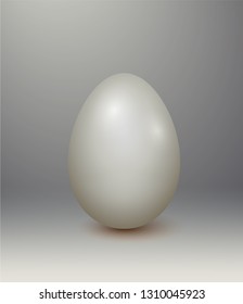 Vector white single realistic animal egg. Chicken egg isolated with soft shadows on white background.

