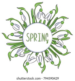 vector white snowdrop flowers circle frame card with word spring
