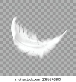 Vector white soft feathers on transparent background.