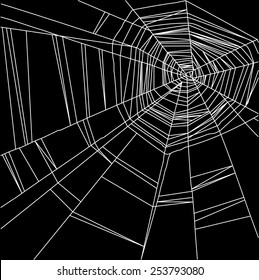 Vector white spider web isolated on the  black background