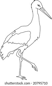 vector - white stork isolated on white background