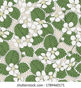 Vektor Weißer Erdbeerblüten mit grünen Blättern auf beigem Hintergrund Nahtlose Wiederholung Muster. Hintergrund für Textilien, Karten, Herstellung, Wallpaper, Druck, Geschenkverpackung und Scrapbooking.