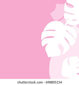 Vector of white tropical leaf background.Illustration of tropical leaves on pink.
