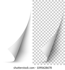 Vertikal aufgerollte Vektorweißpapierecke mit weichem Schatten auf weißem und transparentem Hintergrund. 3D-Seitenecke gekürzt. Realistisches Design-Element.