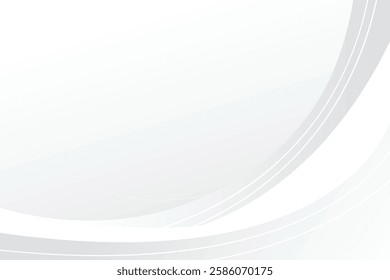 Vector white of wavy banner. Gray background