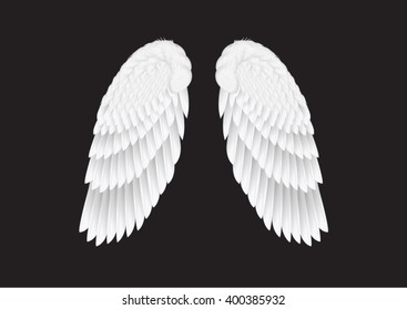 the vector white wings on black background