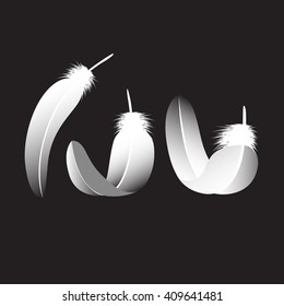 the vector white wings on black