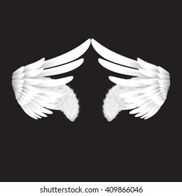 the vector white wings on black