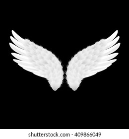 the vector white wings on black