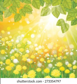 Vector white and yellow dandelions flowers and leaves border on sunny background.