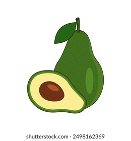 Vector whole avocado with leaf and one half. Tropical fruit