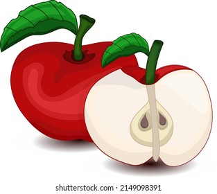 vector of whole and cut apples in white background