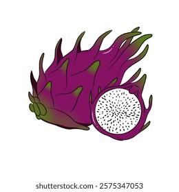 vector of whole and cut dragon fruit. Dragon fruit on isolated white background. Vector illustration. Healthy fruit
