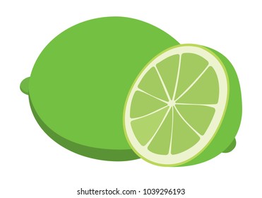 Vector whole and half of of lime. Every part isolated.
