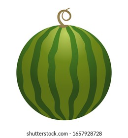 Vector whole watermelon. Cute Vector illustration gradient fill isolated on white background, cartoon logo and icon. Concept of healthy lifestyle and ripe fruits
