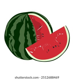 vector of whole watermelon with watermelon slices around it